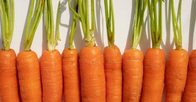 Freepik/pikisuperstar